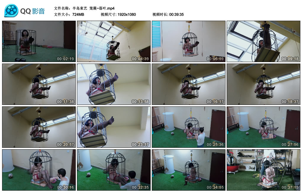 【半岛束艺】 笼震~落叶-HD绳艺资源网