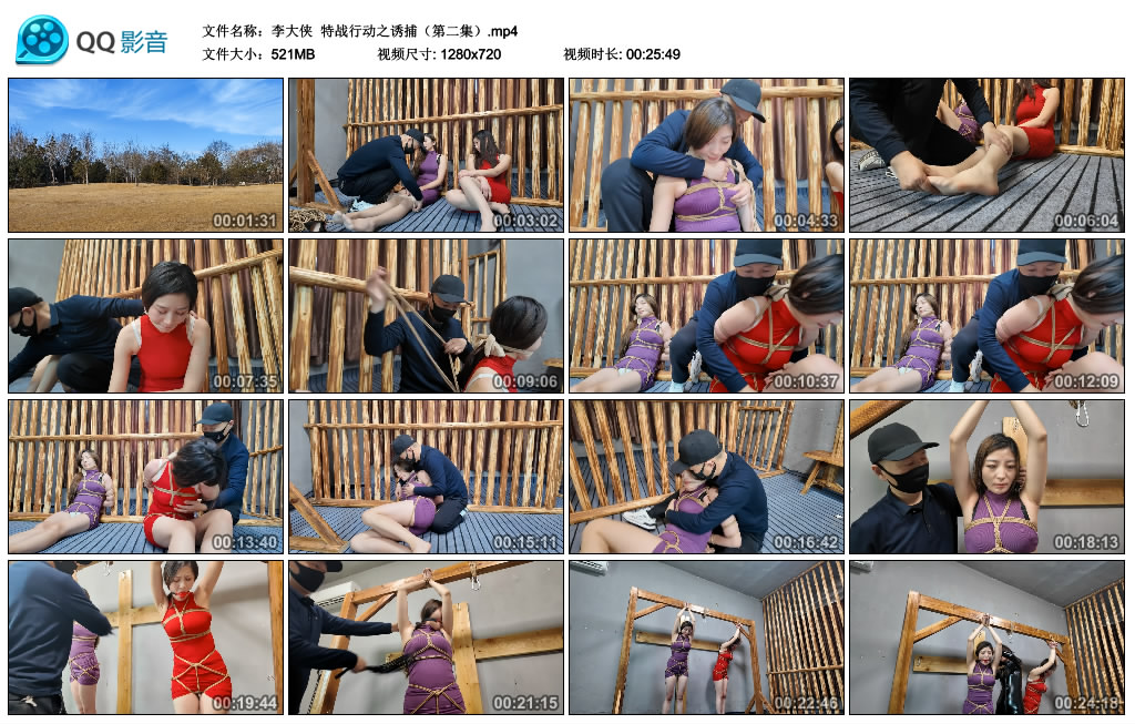 【李大侠】 特战行动之诱捕（第二集）-HD绳艺资源网