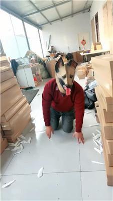 【小原妈妈】彻底训化人形犬 JS241209-27-HD绳艺资源网
