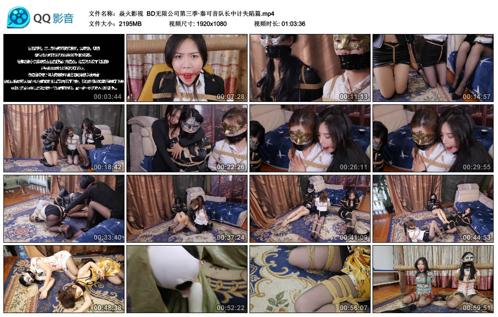 【焱火影视】 BD无限公司第三季·秦可音队长中计失陷篇-HD绳艺资源网