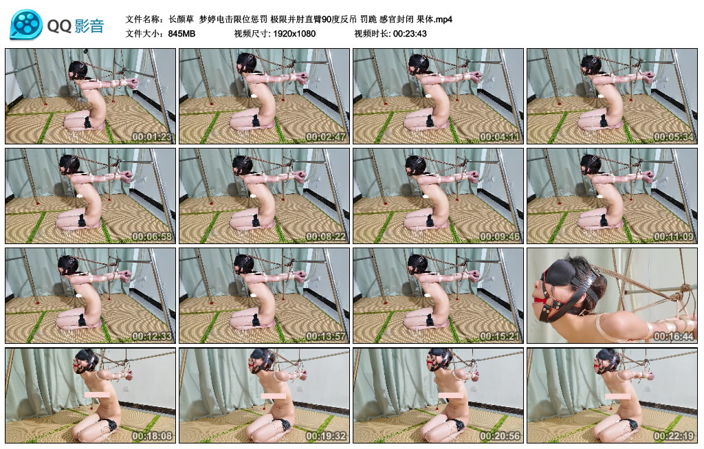 【长颜草】 梦婷电击限位惩罚-HD绳艺资源网