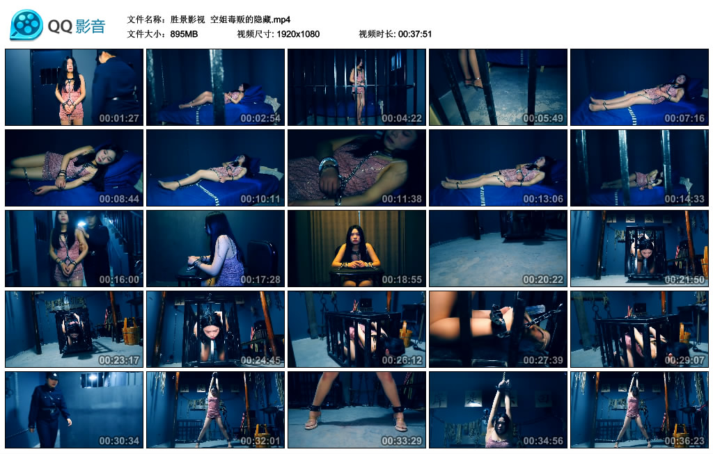 【胜景影视】 空姐毒贩的隐藏-HD绳艺资源网