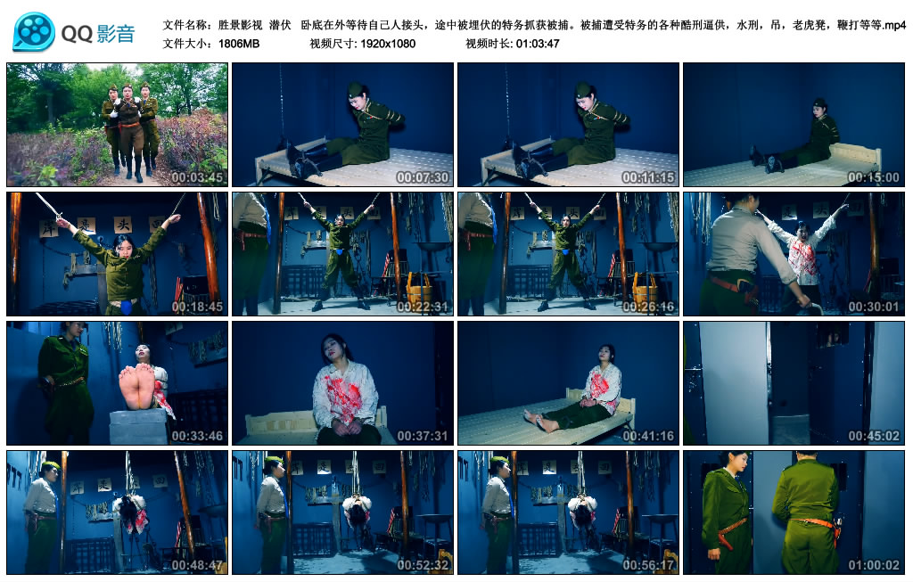 【胜景影视】 潜伏-HD绳艺资源网