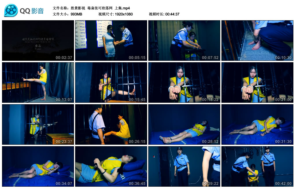 【胜景影视】 毒枭张可欣落网  上集-HD绳艺资源网