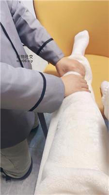 【南月女神】绿帽男友下跪伺候我 JS250109-10 艾彩调教库 第2张