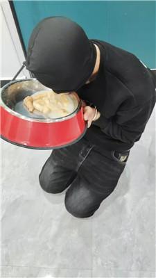 【宝宝大人s】刑架枷锁囚禁-重度鞭打-狗盆喂食 JS250109-13-HD绳艺资源网
