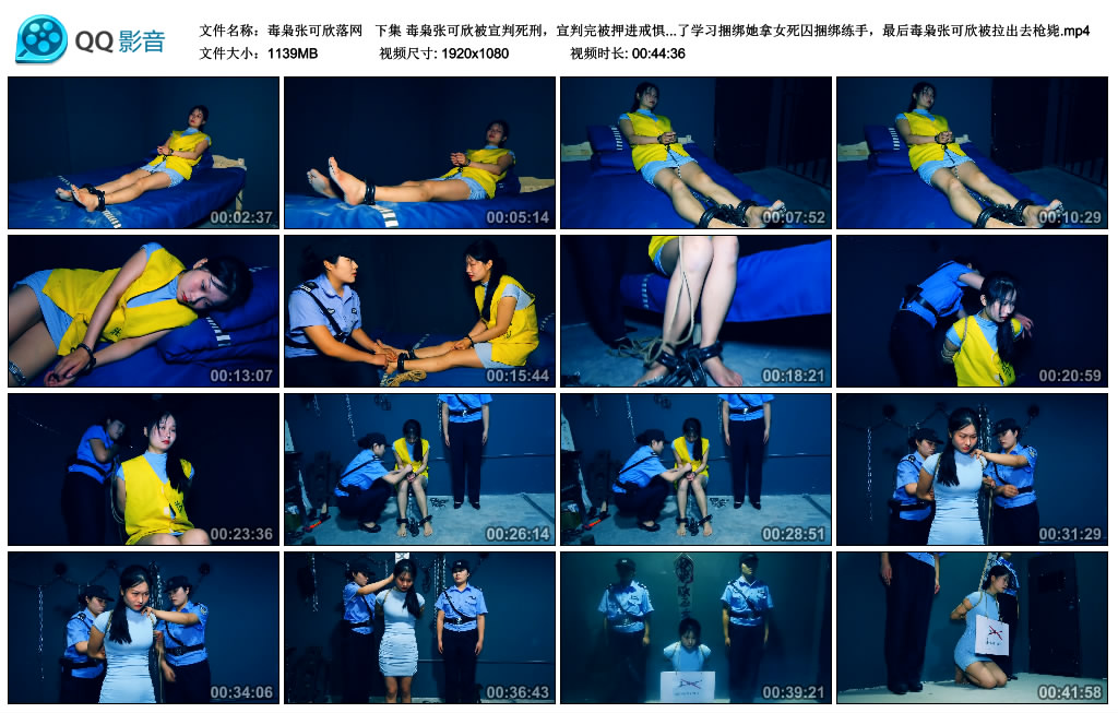 【胜景影视】 毒枭张可欣落网  下集-HD绳艺资源网