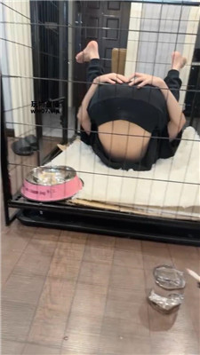佳禾 圈养狗笼-狗盆喂食-赏赐洗澡水 JS250325-37 套路直播库 第2张