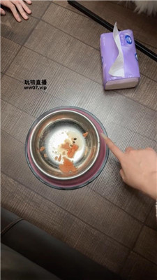 佳禾 圈养狗笼-狗盆喂食-赏赐洗澡水 JS250325-37 套路直播库 第7张