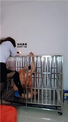 纱月桃 囚禁狗笼强制虐 JS250328-35-HD绳艺资源网
