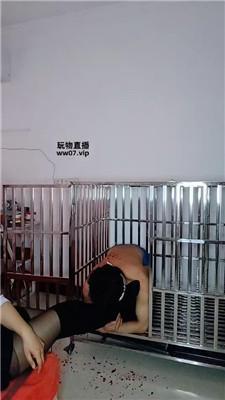 纱月桃 囚禁狗笼强制虐 JS250328-35 艾彩调教库 第7张