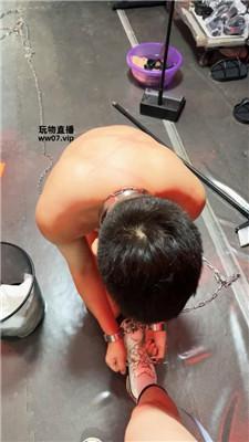 冷凝大大 狗链捆绑囚禁虐 JS250414-35 套路直播库 第4张