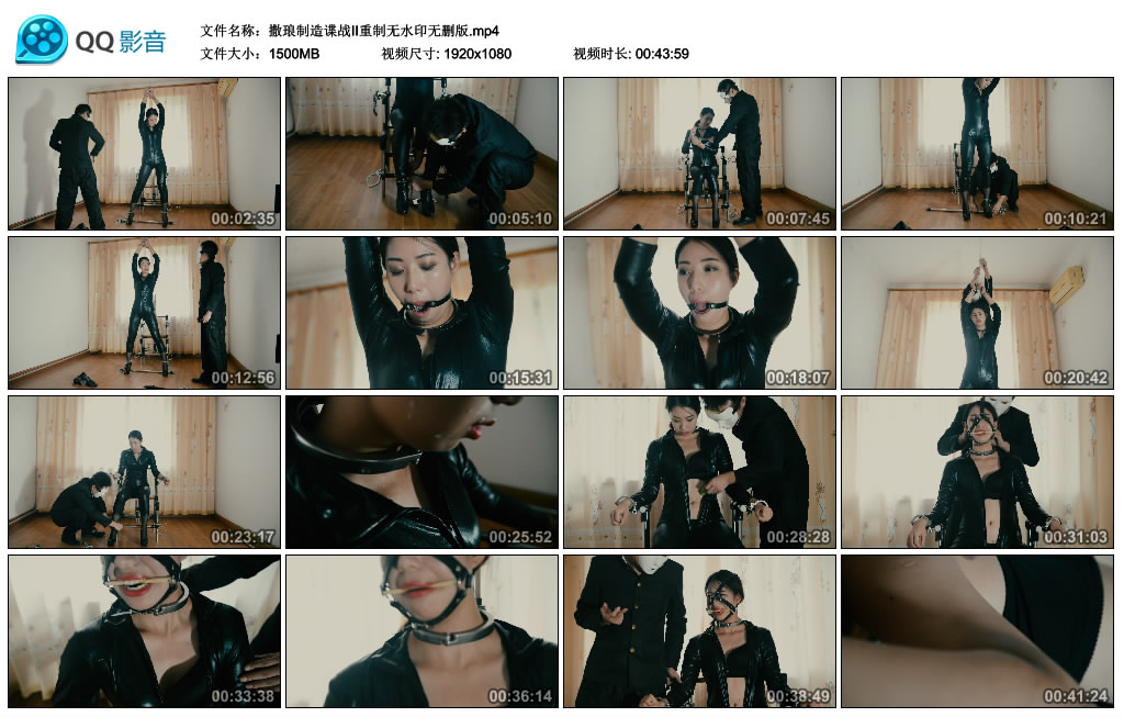 撒琅制造  谍战II重制无水印无删版-HD绳艺资源网