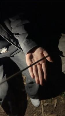 多米娜 深夜户外玩虐骚奴 JS250403-18 套路直播库 第3张