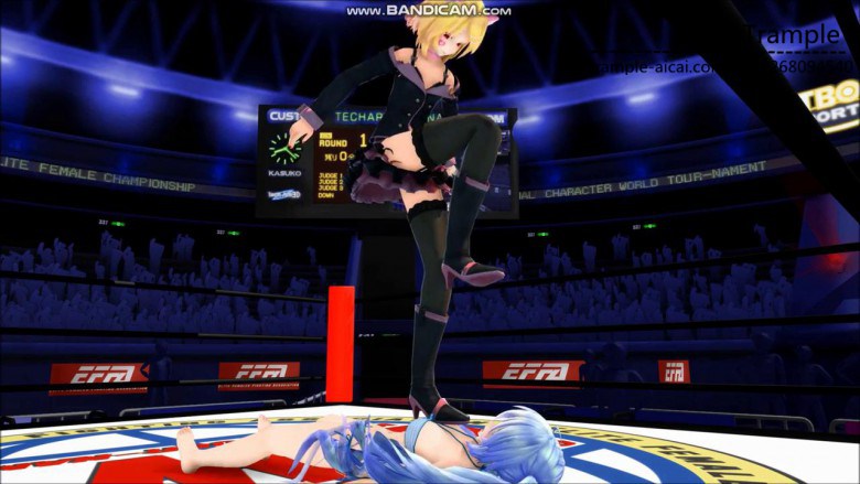 MMD动画女女格斗虐打系列，撸点极高