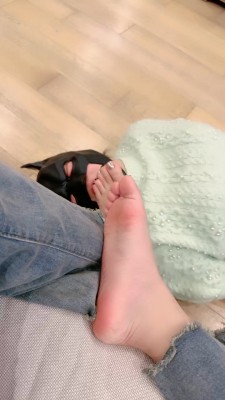 【上海赵丽颖】车模S强迫母畜吃黑棉袜/臭脚窒息 bf23265 套路直播库 第12张